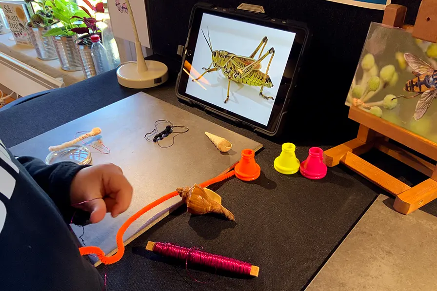 Ipad med en bild på trollslända, bild på en fluga och material att bygga egna djur. Barnhänder syns i bild.
